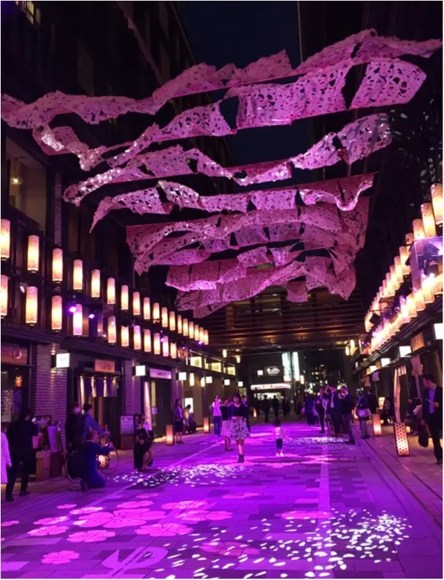仕事上がりにいかが?SAKURA TUNNELをみられるのも15日まで!_2