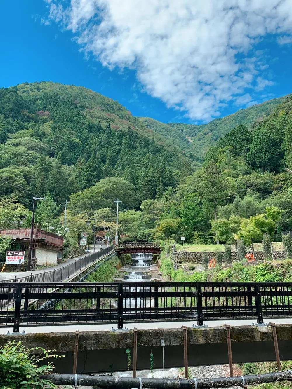 絶景! 寸又峡の「夢の吊橋」へ♪ 沼津港では海鮮丼を満喫! 【 #TOKYOPANDA のご当地モア・静岡県編】_1