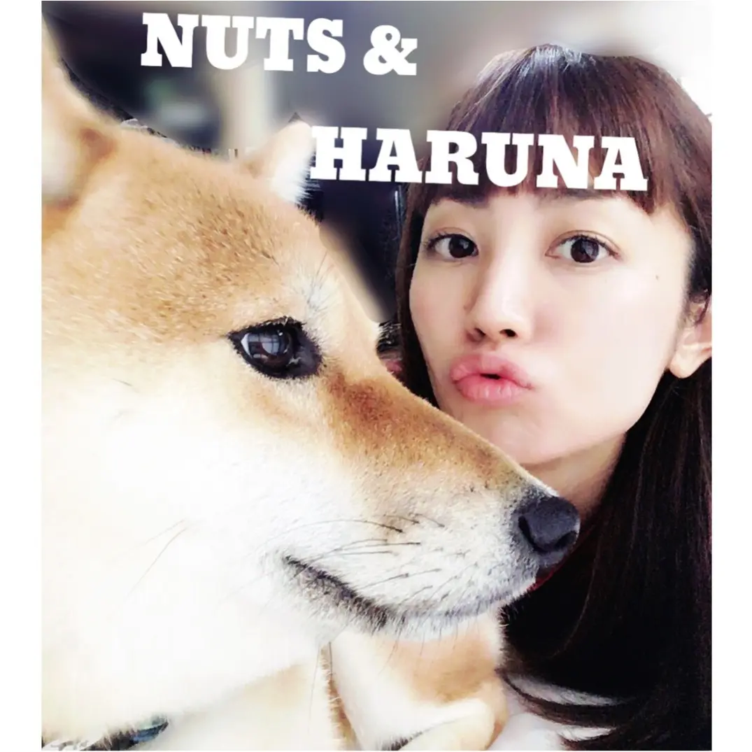 ▶︎▶︎着回しに便利な〈プリーツスカート〉で休日コーデと柴犬ナッツ【はるな】_5