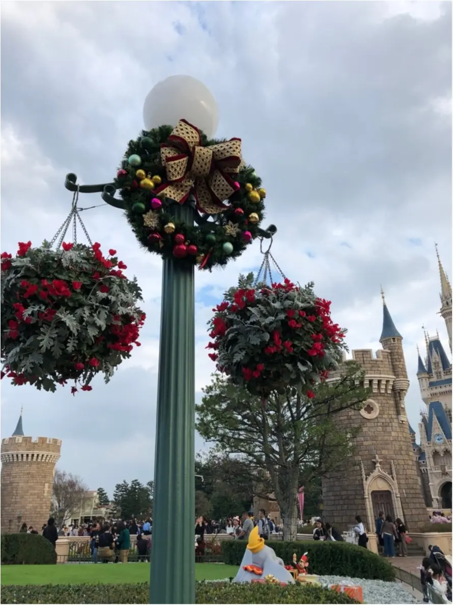 TDL35周年!【ディズニー・クリスマス】行ってきました♡_5