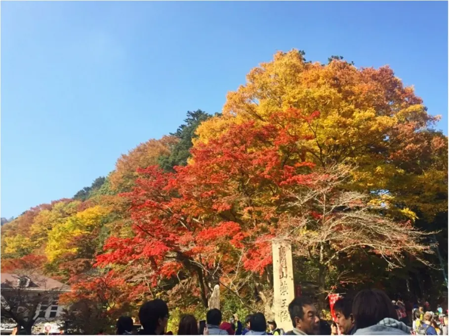 【しの散歩】世界一登山客が多い山!東京の紅葉スポットといえば、やっぱり『高尾山』がおすすめ♪_1