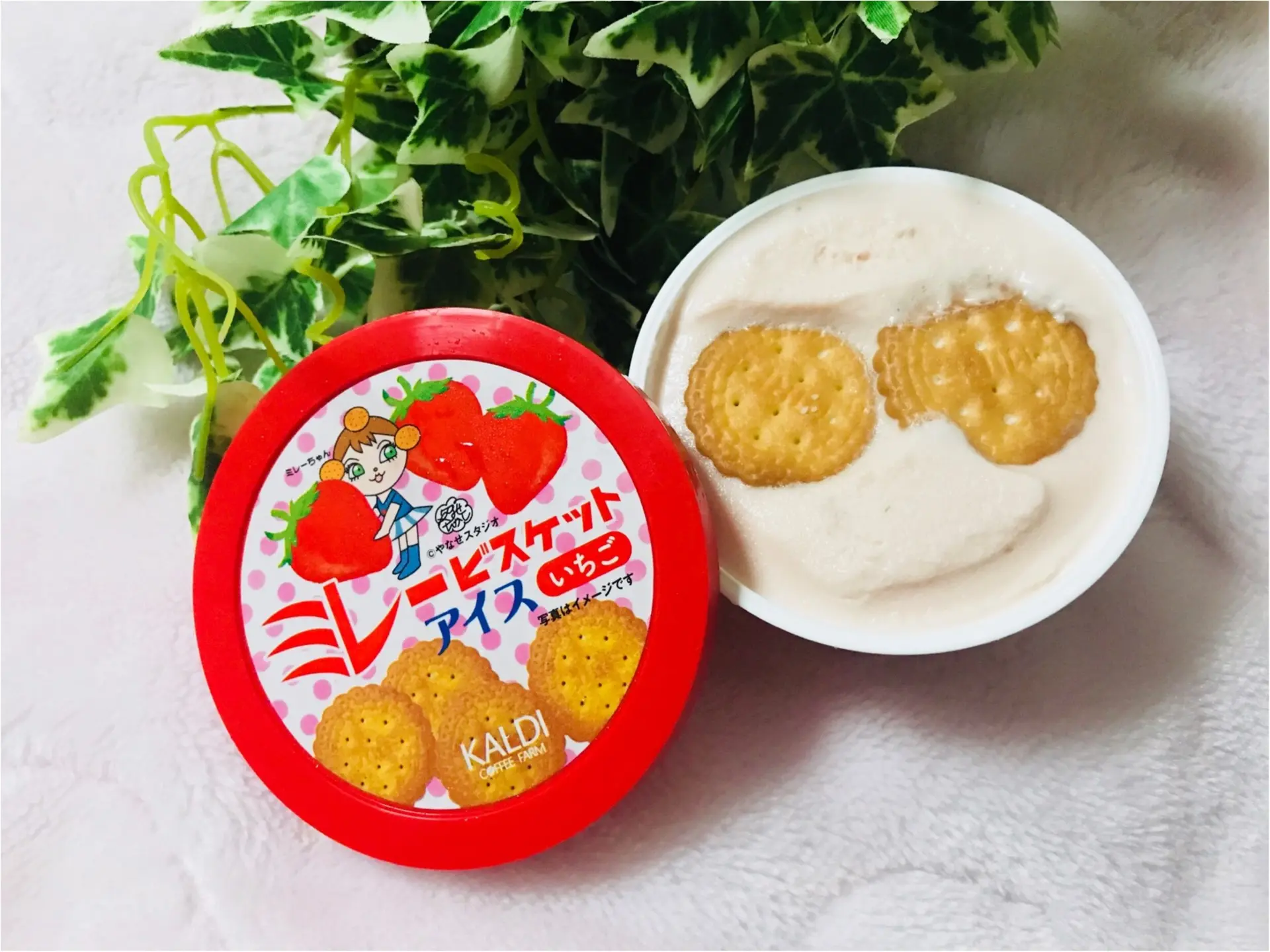 【KALDI】あのご当地菓子《ミレービスケット》がアイスになっちゃった!カルディ限定で“いちご味”が新登場❤︎パッケージがレトロ可愛い♡♡_2