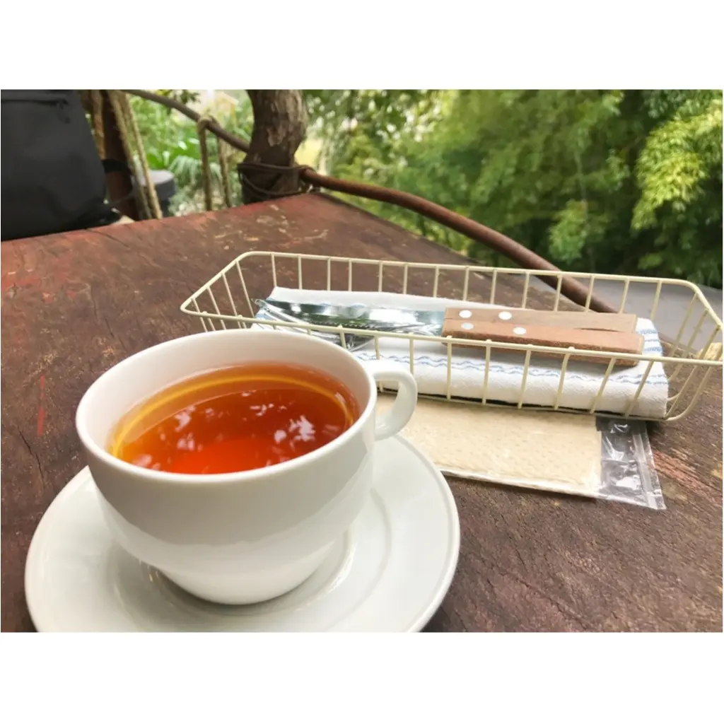 【ドラマロケ地カフェ】女優水川あさみさん"シェアハウスの恋人"で使われたツリーハウスカフェ潜入!オトナの秘密基地発見!限定30食メニュー食べてきました♡♡_8