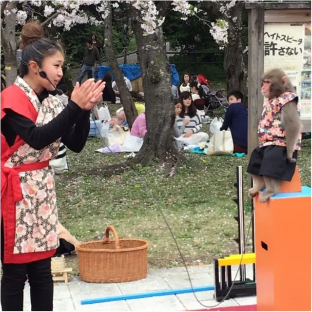 《公園はしご旅》in 福岡 今が見頃!とっておきの桜スポットをご紹介!!_5
