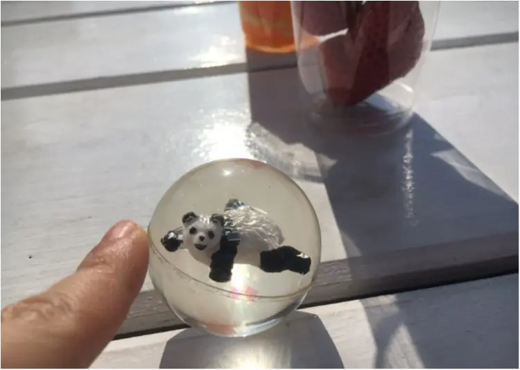 【8/10まで!!】チャンスは今だけ!上野動物園の赤ちゃんパンダの名付け親になっちゃおう♡♡_1
