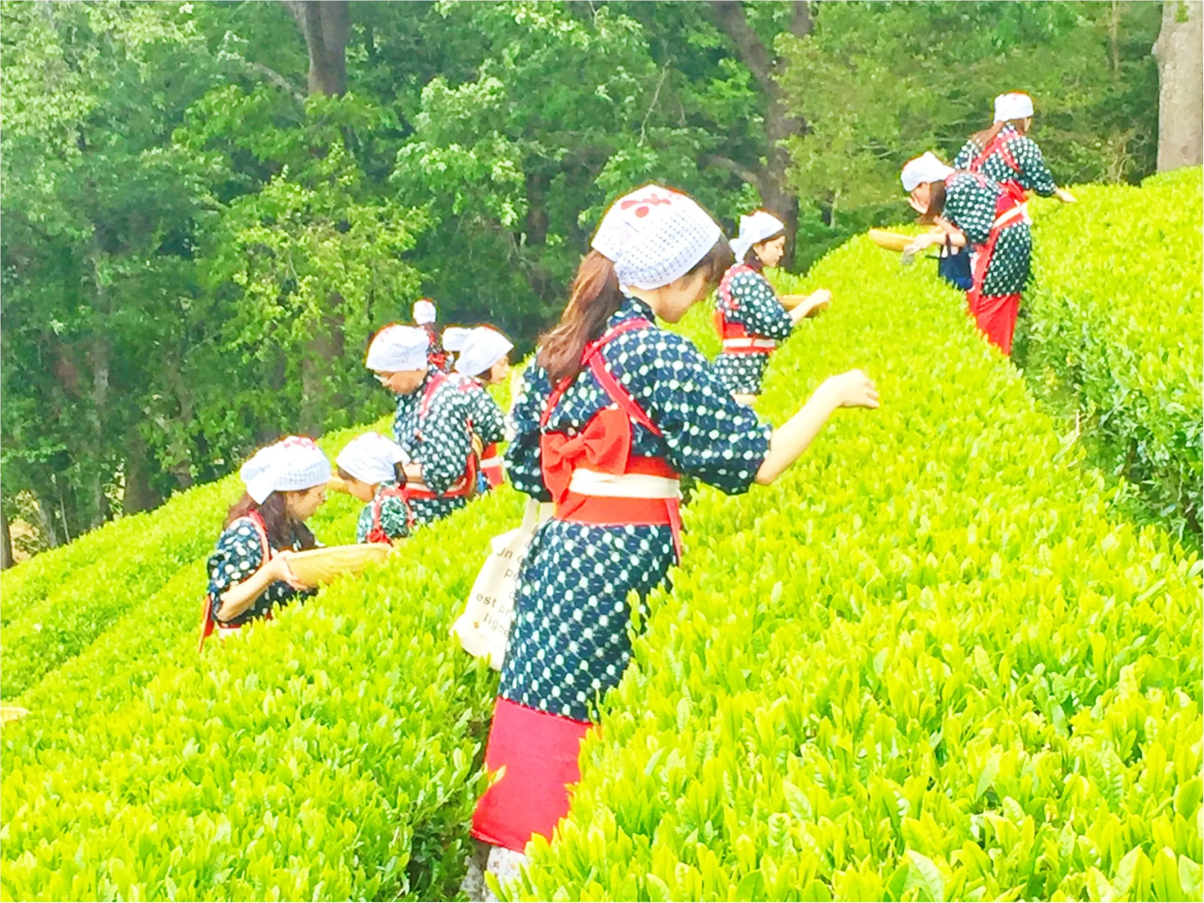 モアハピ1989の会で静岡バスツアー行ってきました♡_14