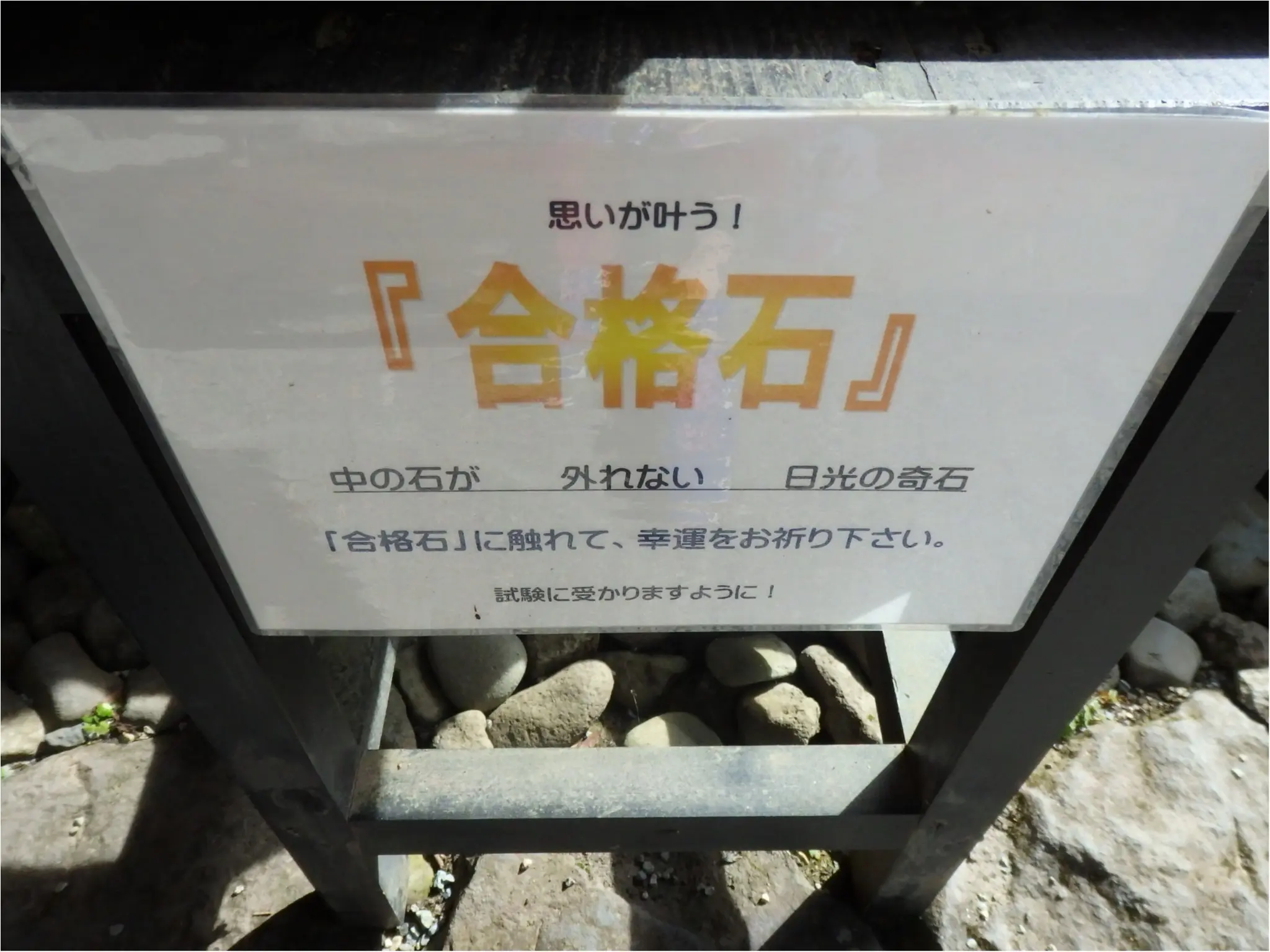 【知らなかった!】日本一楽しめる神社へ潜入してみた_24