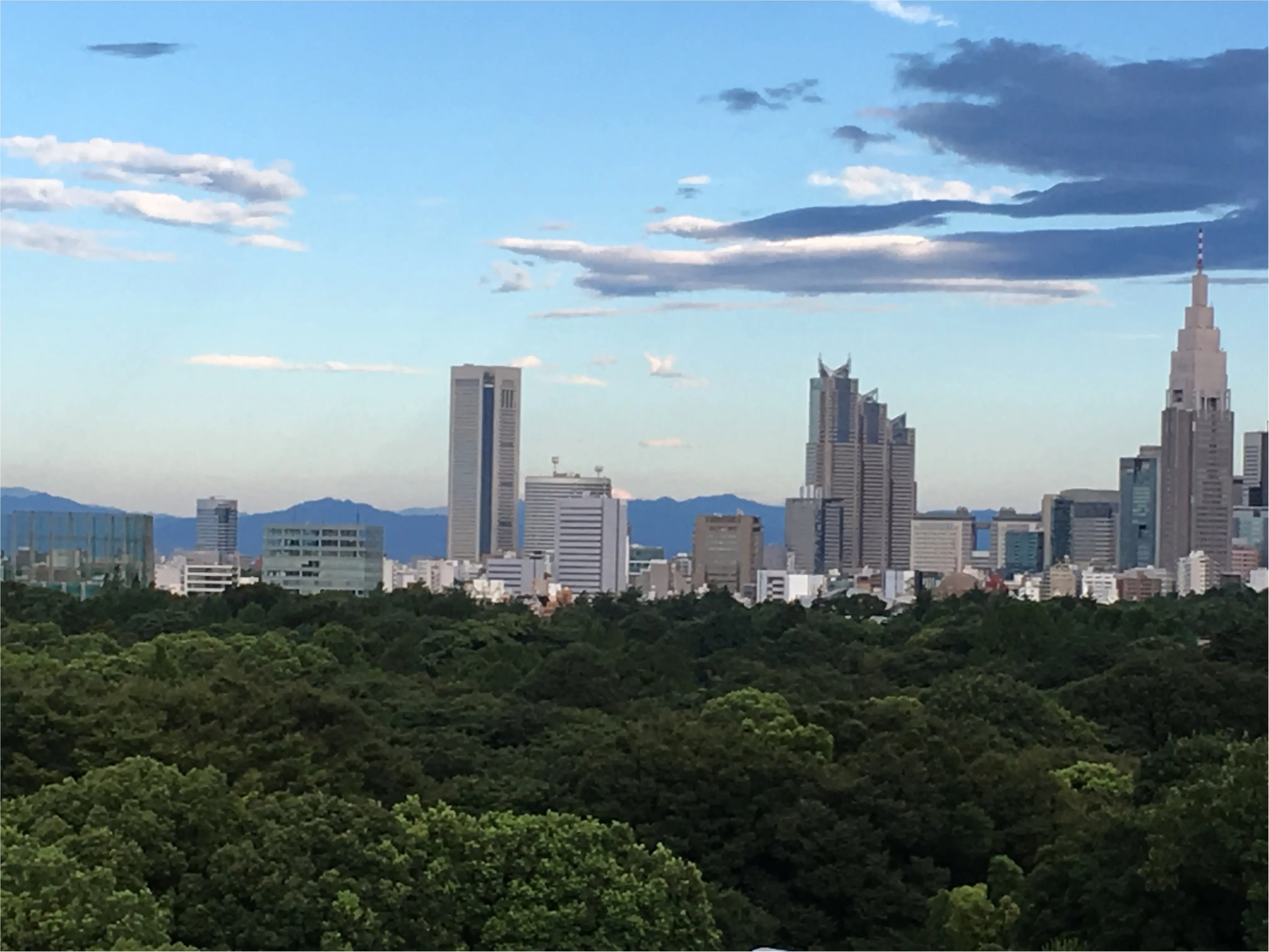 今が満開!!東京から1時間半で行けちゃう♪♪絶景のひまわり迷路へbyじゅな_2