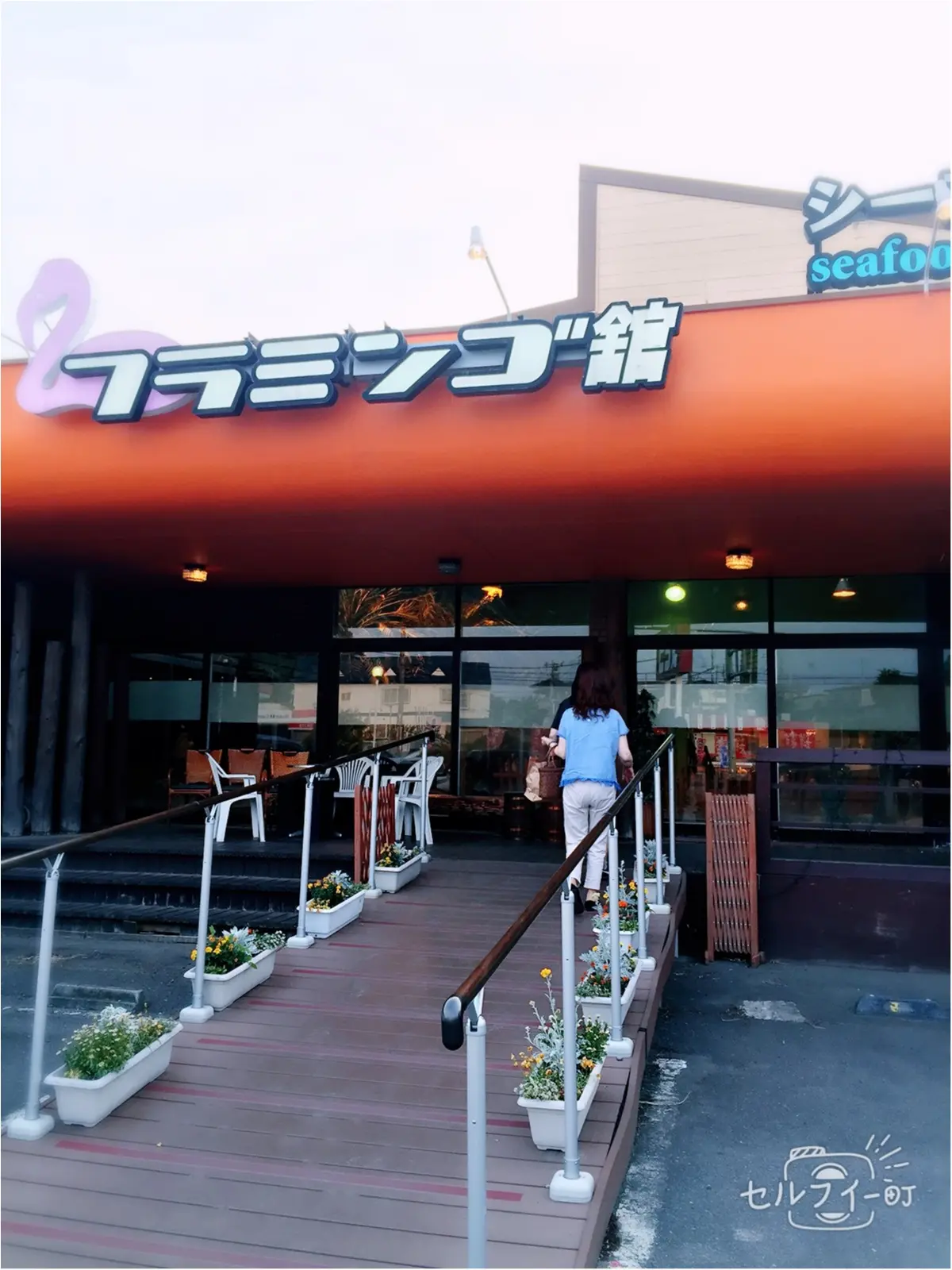 【福島の旅v1】驚愕‼︎フラミンゴが沢山いるカフェで蟹を食べるの巻。_1