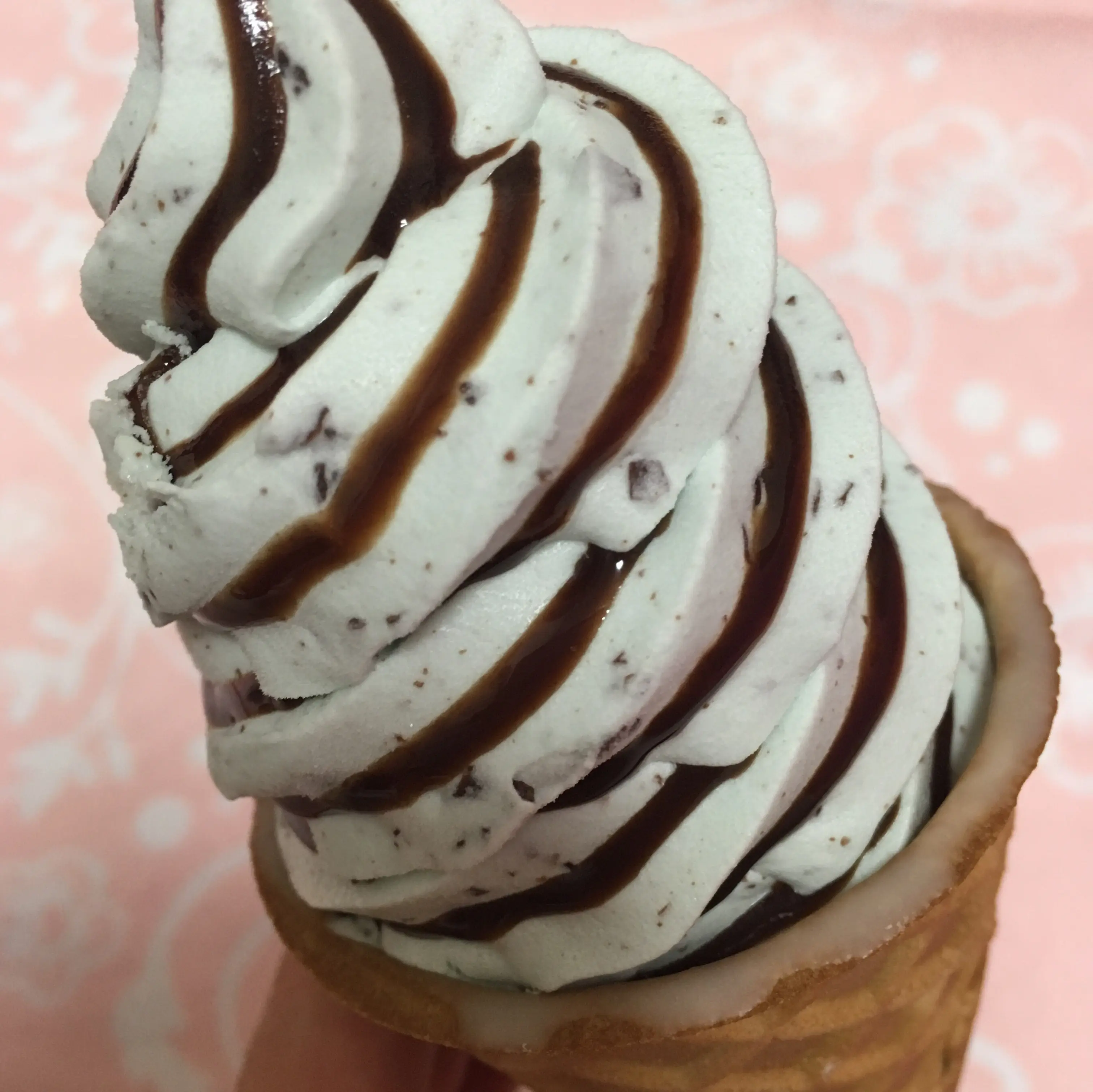 自分への日々のプチご褒美は冬アイス♡冬も爽やかチョコミントが気になる!_2