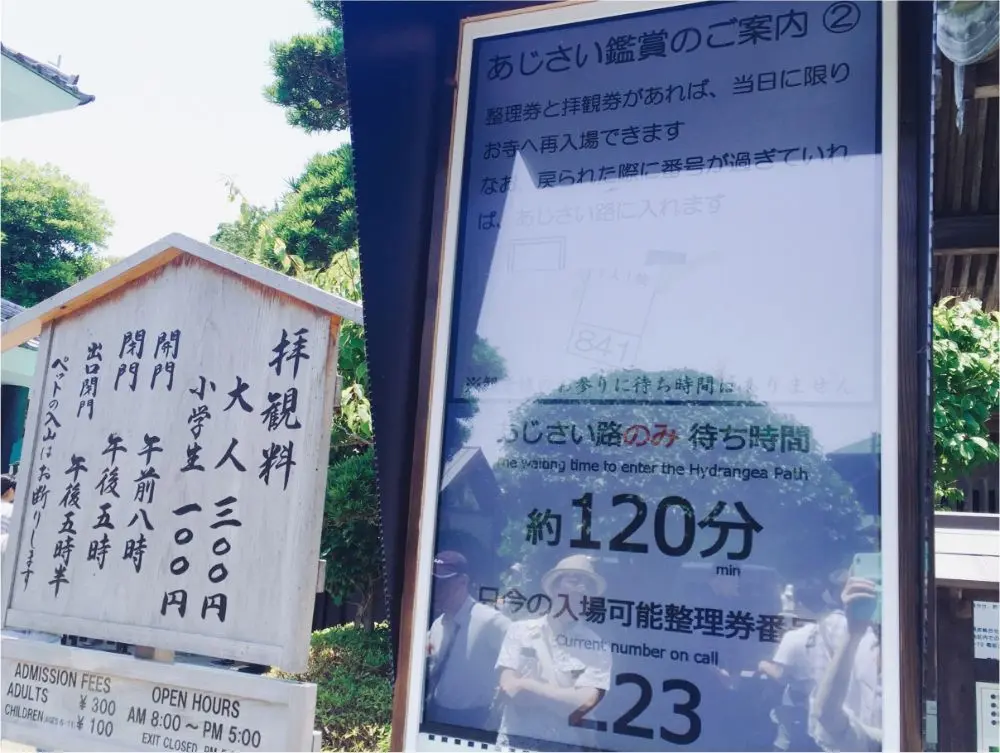 鎌倉の紫陽花名所特集 - 人気のあじさい寺「長谷寺」「名月院」などおすすめスポット_15