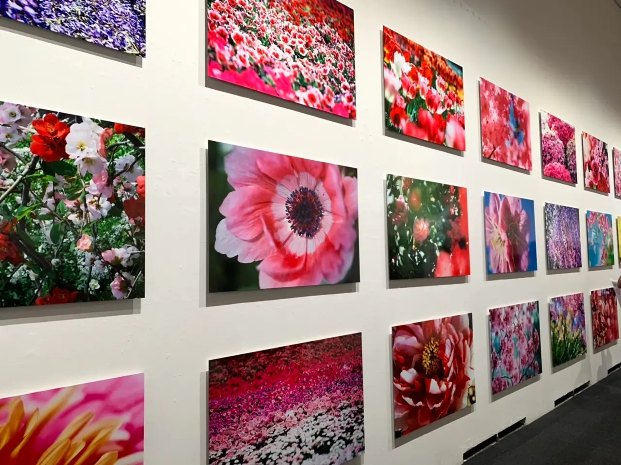 11/14(日)まで!上野の森美術館で開催中の蜷川実花展に行ってきました!_4
