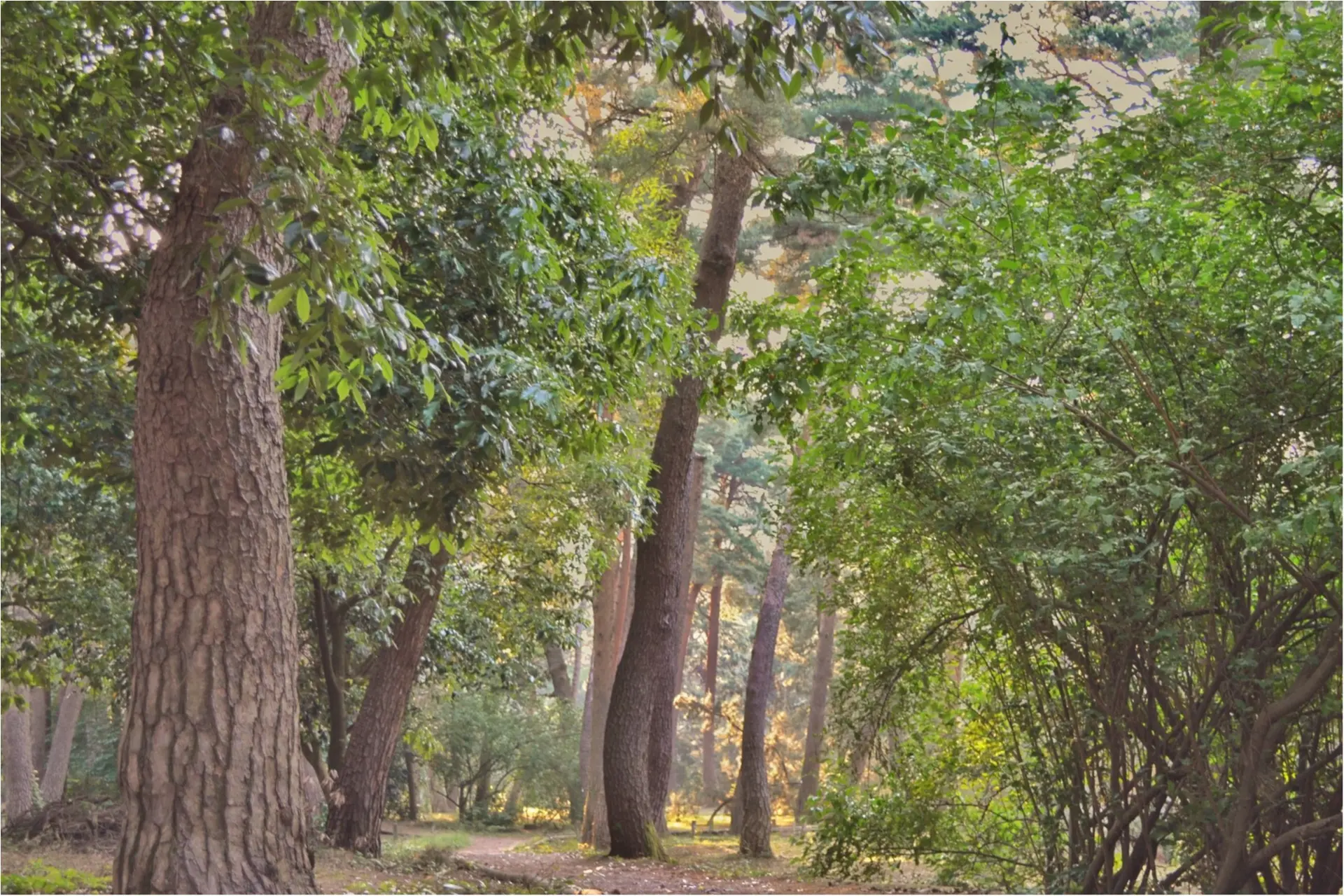 後編♡ 次の週末にオススメしたい!福井の魅力ー美しすぎる5つの絶景_3