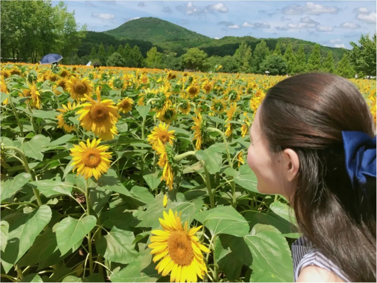 美しい夏の絶景♡ 100万本のひまわりが一面に広がる『ひまわり畑』が見たい♡♡_6