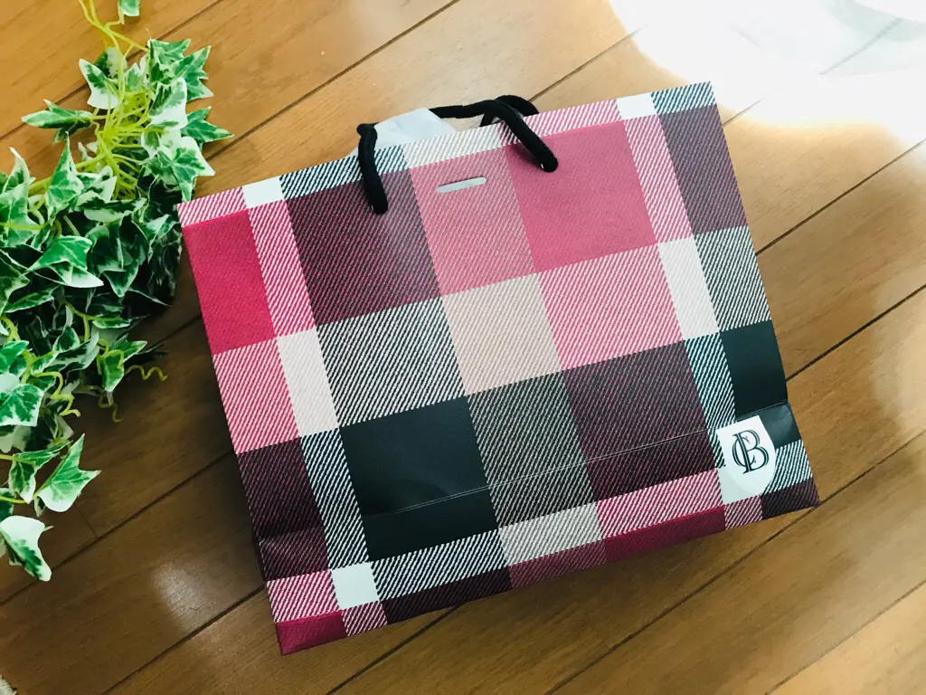コーデのアクセントに効果絶大!【MORE×BLUE LABEL】コラボバッグが万能♡_1