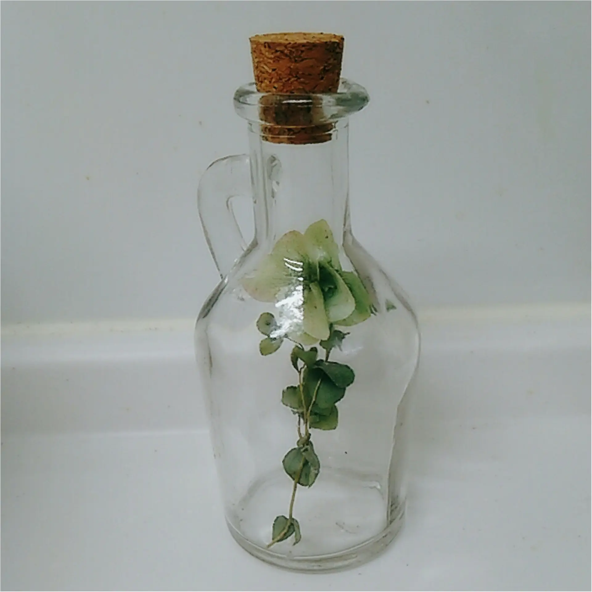 「お花は枯らしちゃうから・・」だったら最初から【ドライフワラー】で!"花のある生活"を叶えちゃお♪飾り方のコツも(443 まゆ _3