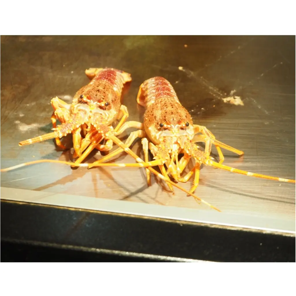 コスパが良くて、見た目もお腹も大満足する六本木にある鉄板焼き屋さん_9