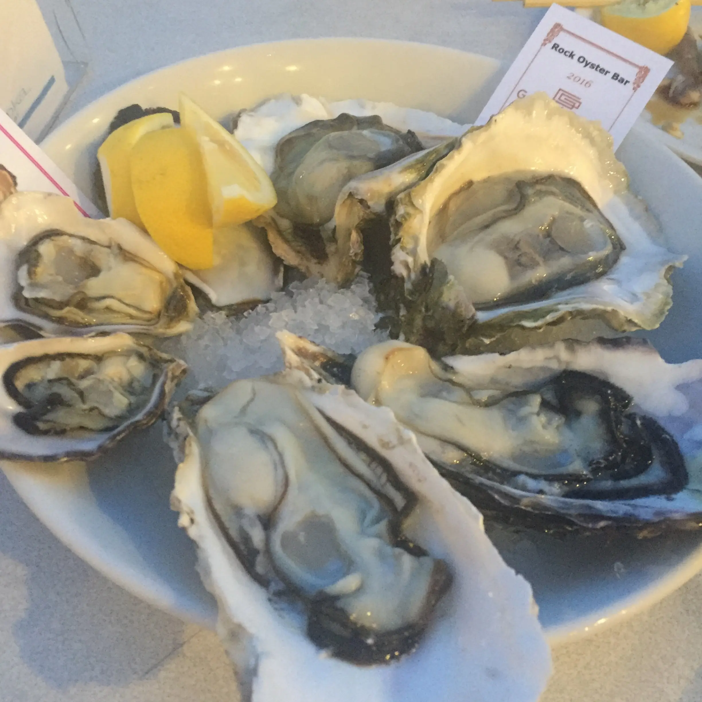 *美味しい牡蠣食べたかったら*横浜ベイクォーター*oyster bar*_7