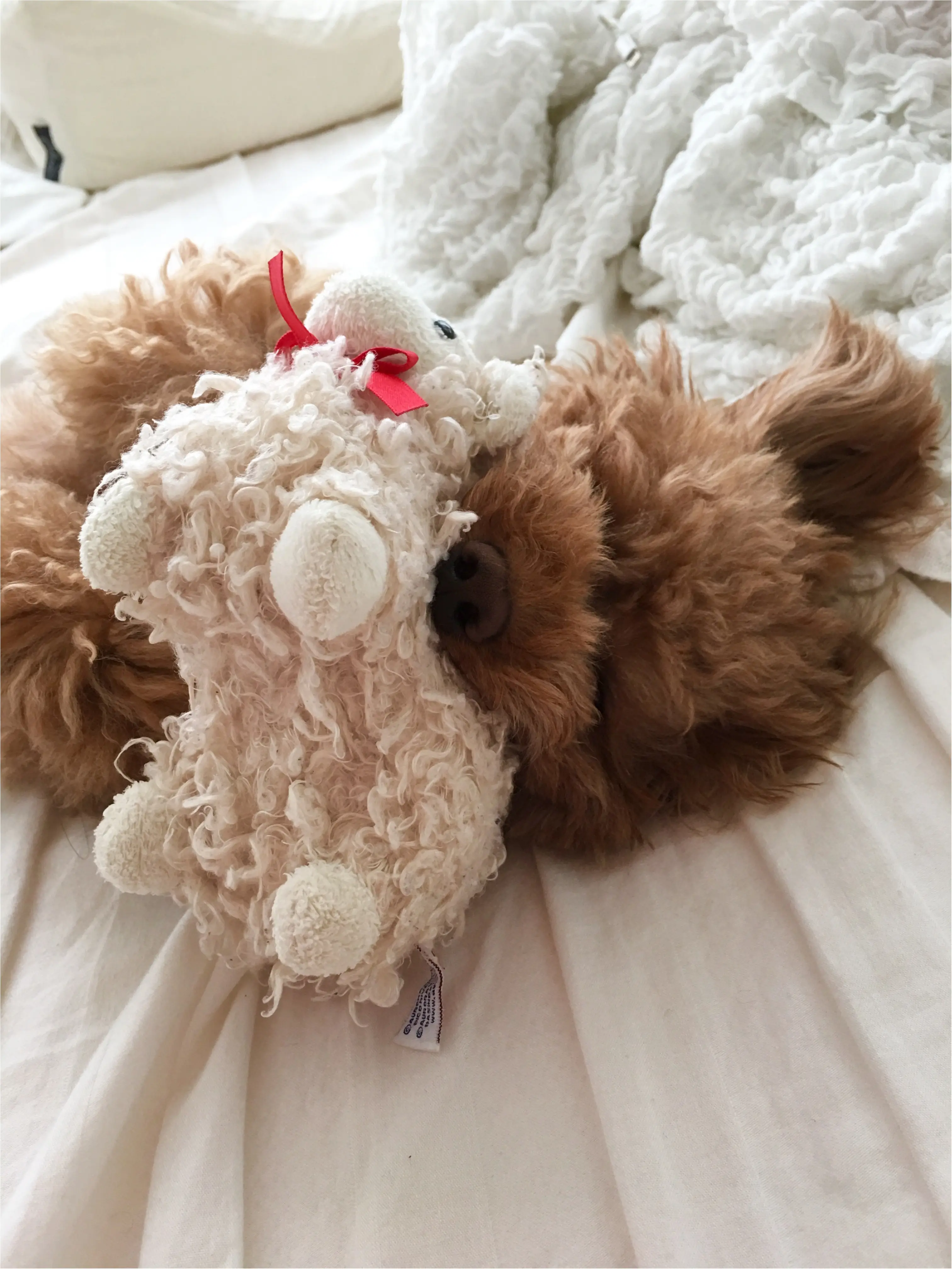 ♡モデル級体型キープ方法♡モアハピ◡̈のぞみ♡_8