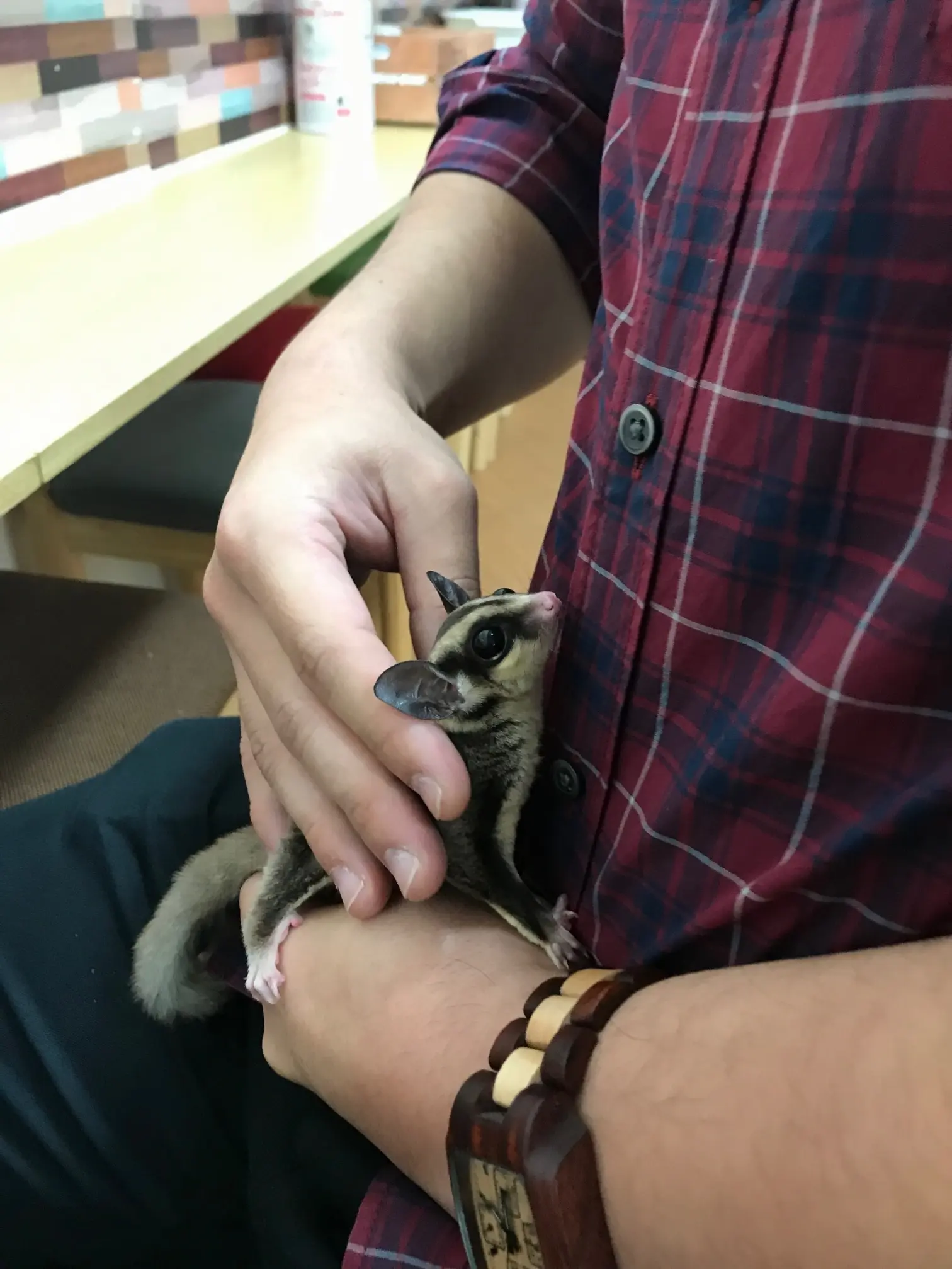 【池袋】コツメカワウソカフェに行ってきた!_2