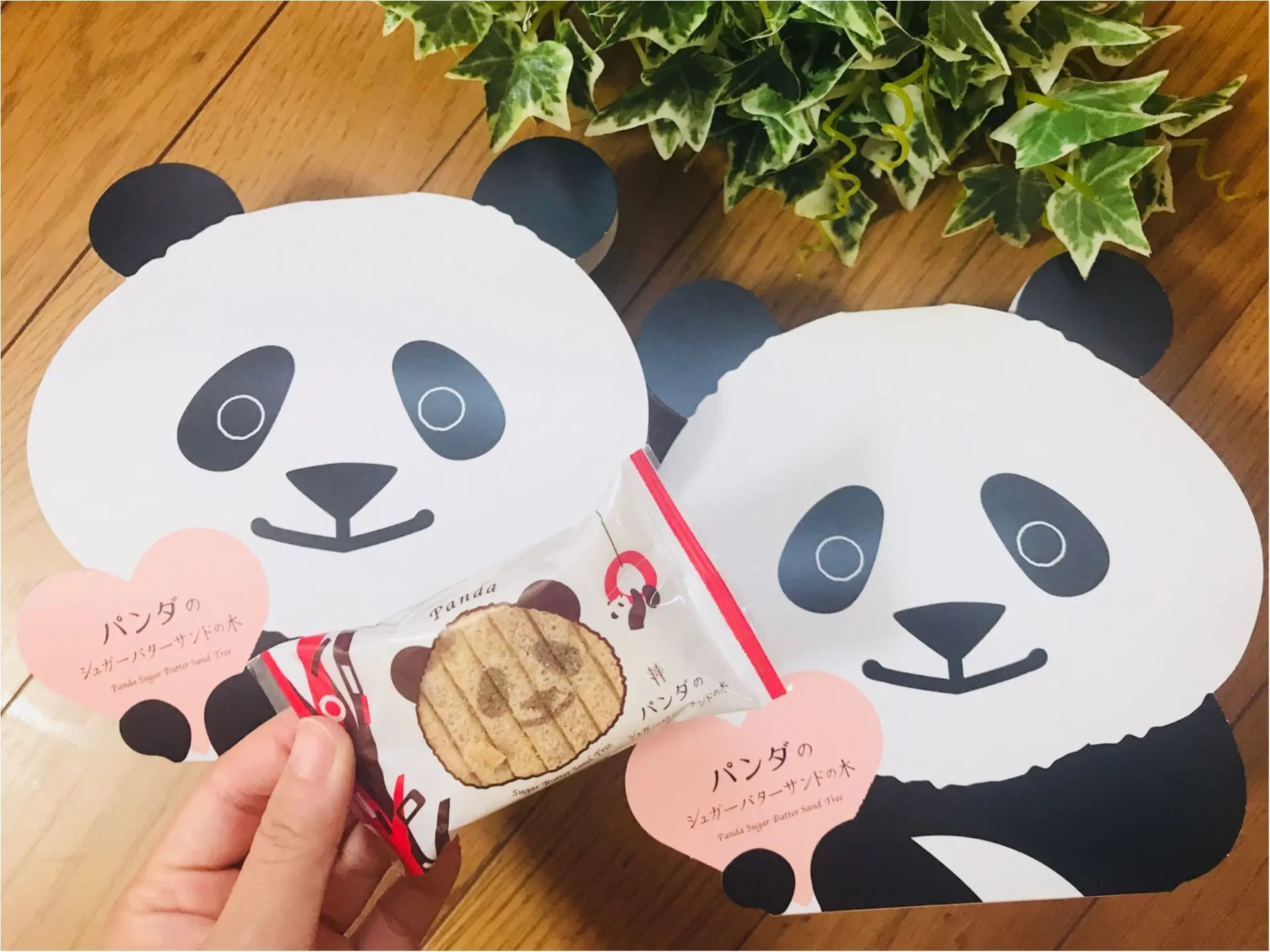 【帰省土産】はコレで決まり!“パンダ”モチーフの《シュガーバターサンドの木》♡_1