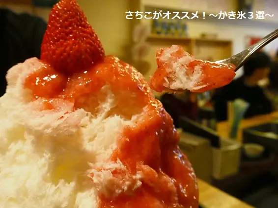 行列のできるあのお店から変わり種多数のあのお店まで≪今年はどこのかき氷を食べる?≫オススメ3選_1