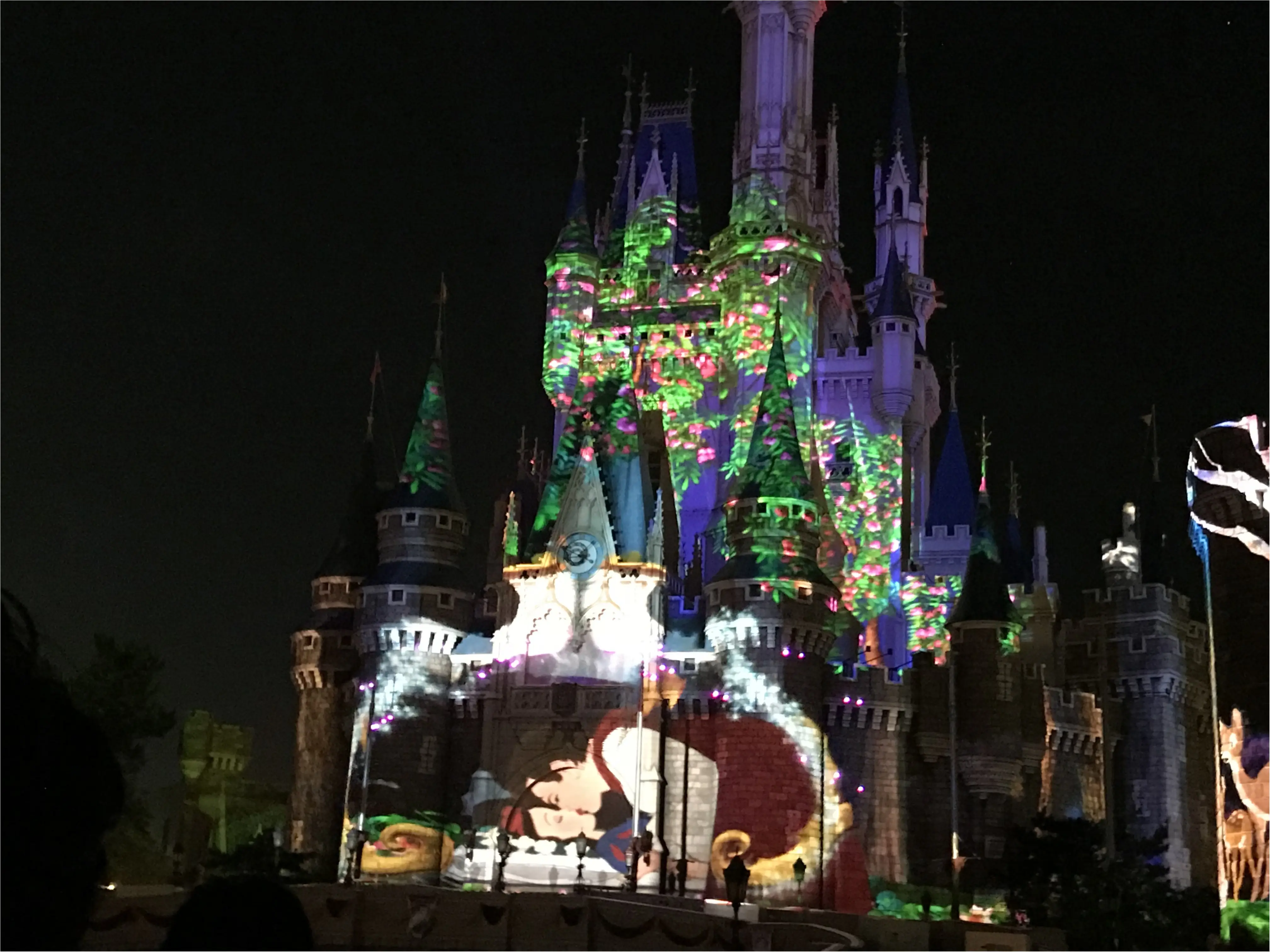 【超話題!】東京ディズニーランドのナイトタイムスぺクタキュラー_3