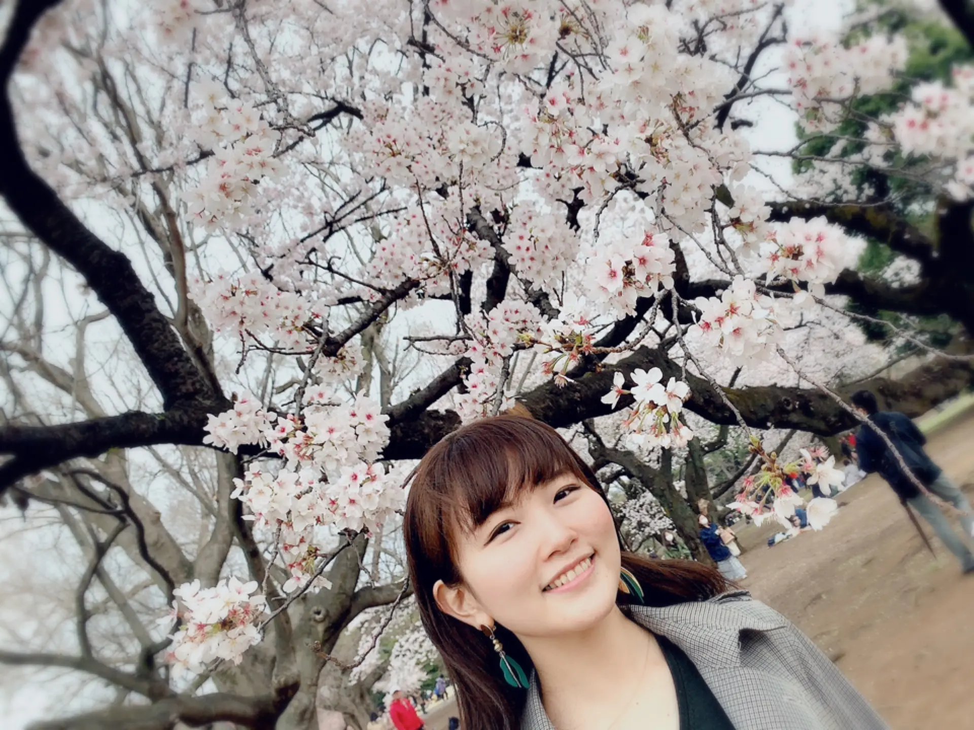 ▷桜の季節【お手軽お花見どこでする??】_4