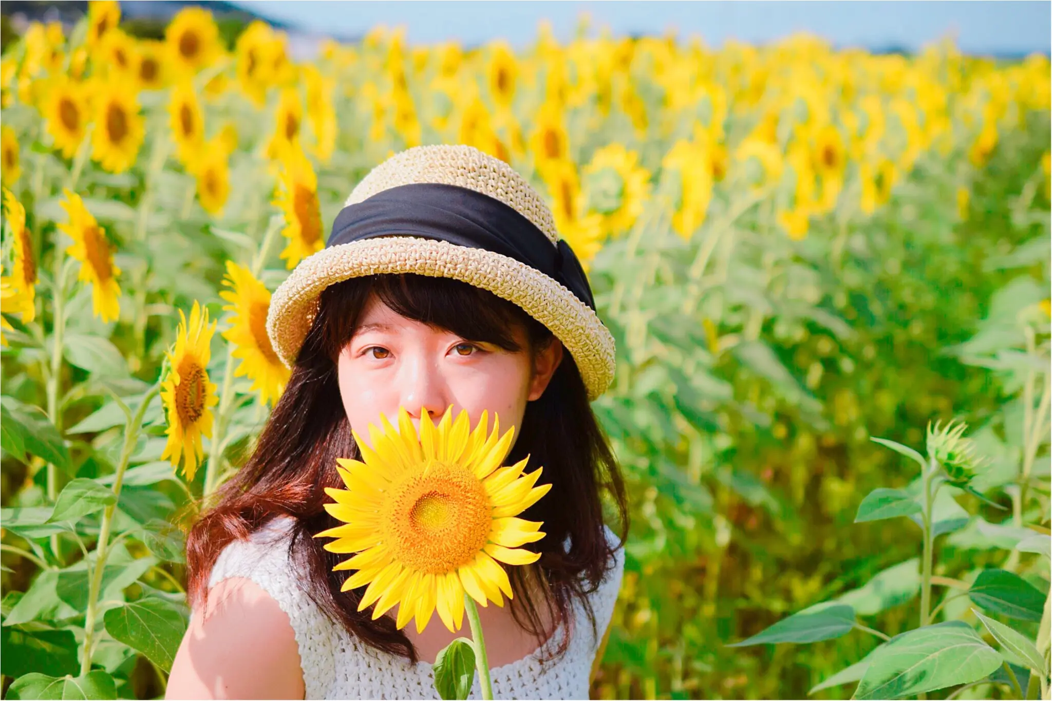 ジェニ旅 東京ドーム2個分のひまわり畑 益子ひまわり祭 で平成ラストサマーを全力で楽しむ Moreインフルエンサーズブログ Daily More