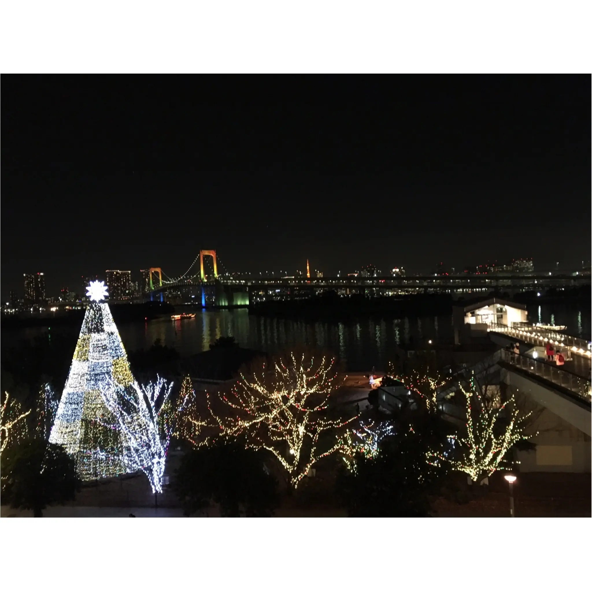 ※今週末まで※クリスマスデートにオススメ!!●●●で楽しむ最高にロマンチックな10のイルミネーション★_7