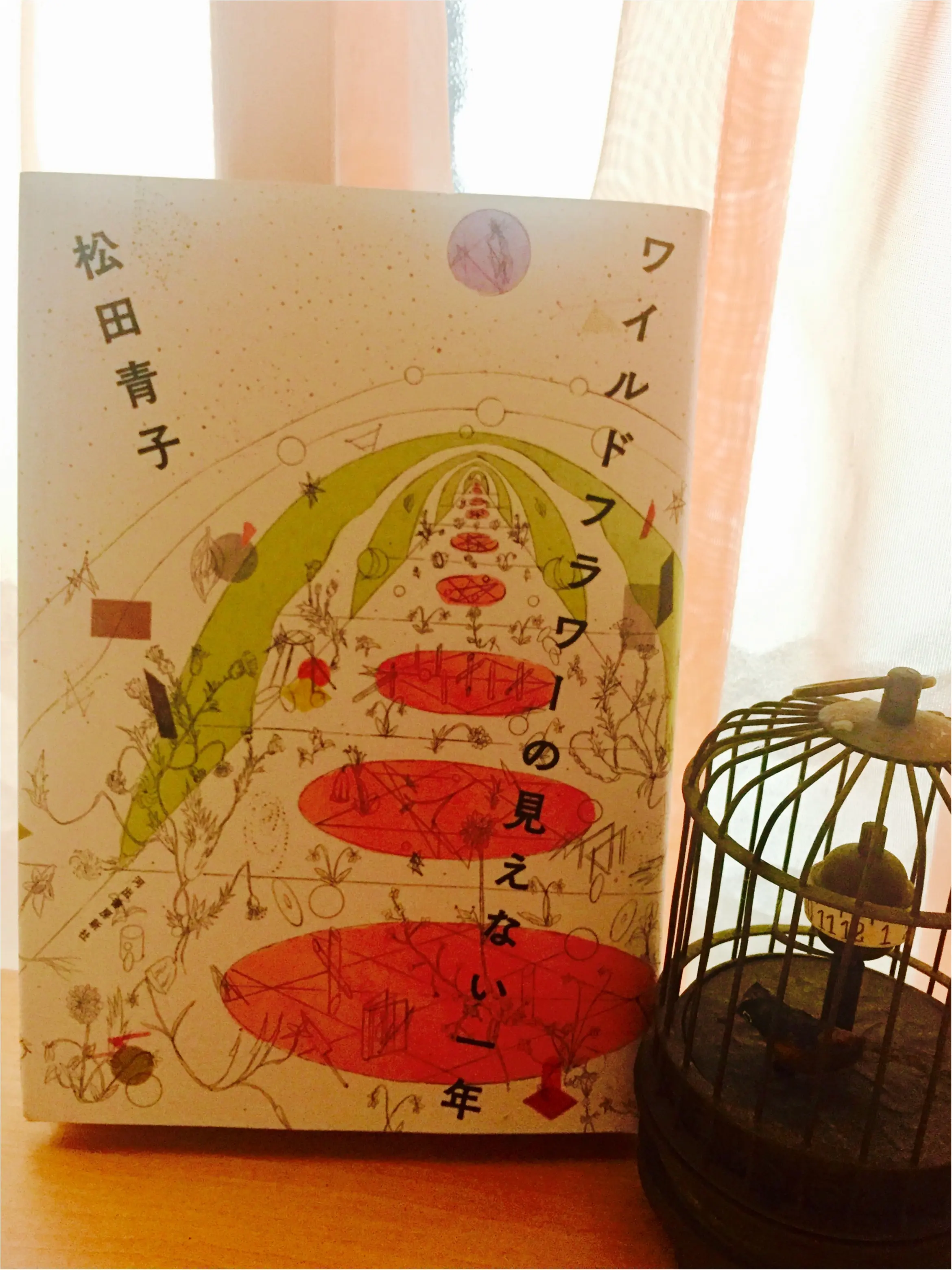 眠る前に読みたい、色っぽくて贅沢な短編集。「ワイルドフラワーの見えない一年」を読んで。_1