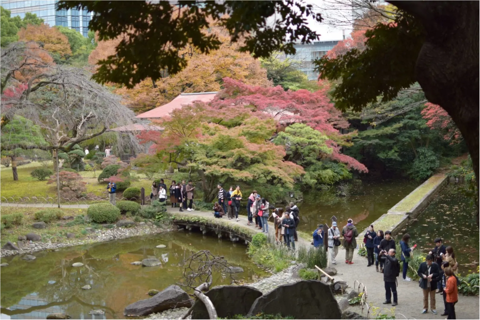 後楽園 小石川後楽園の紅葉 Moreインフルエンサーズブログ Daily More