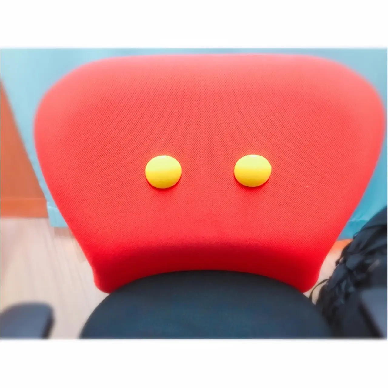▷念願のパスポートを購入…❤︎しに行ったら可愛さが詰まったお部屋に案内されちゃいました‼️_5
