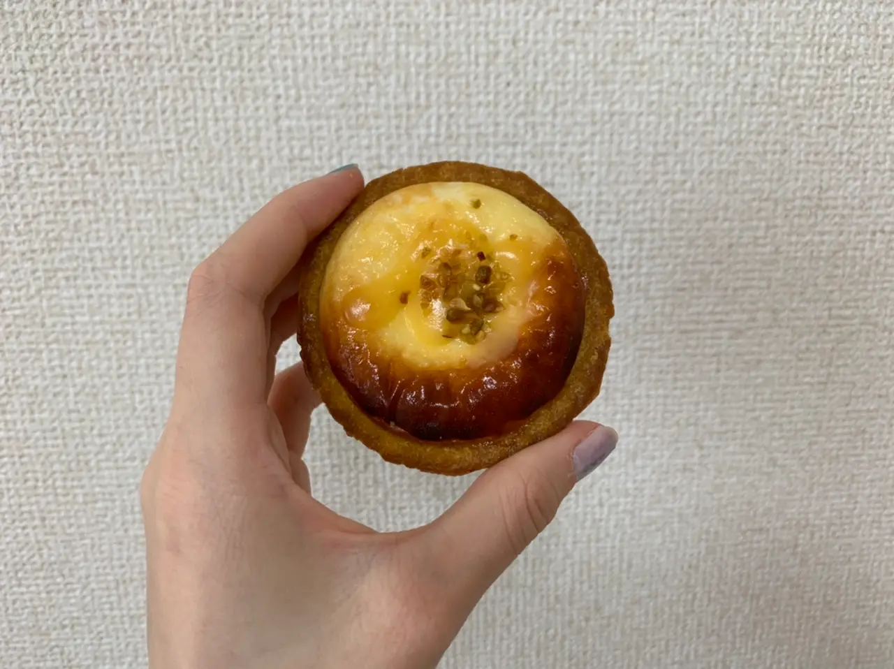 潮風レモンチーズタルトの上から見た画像