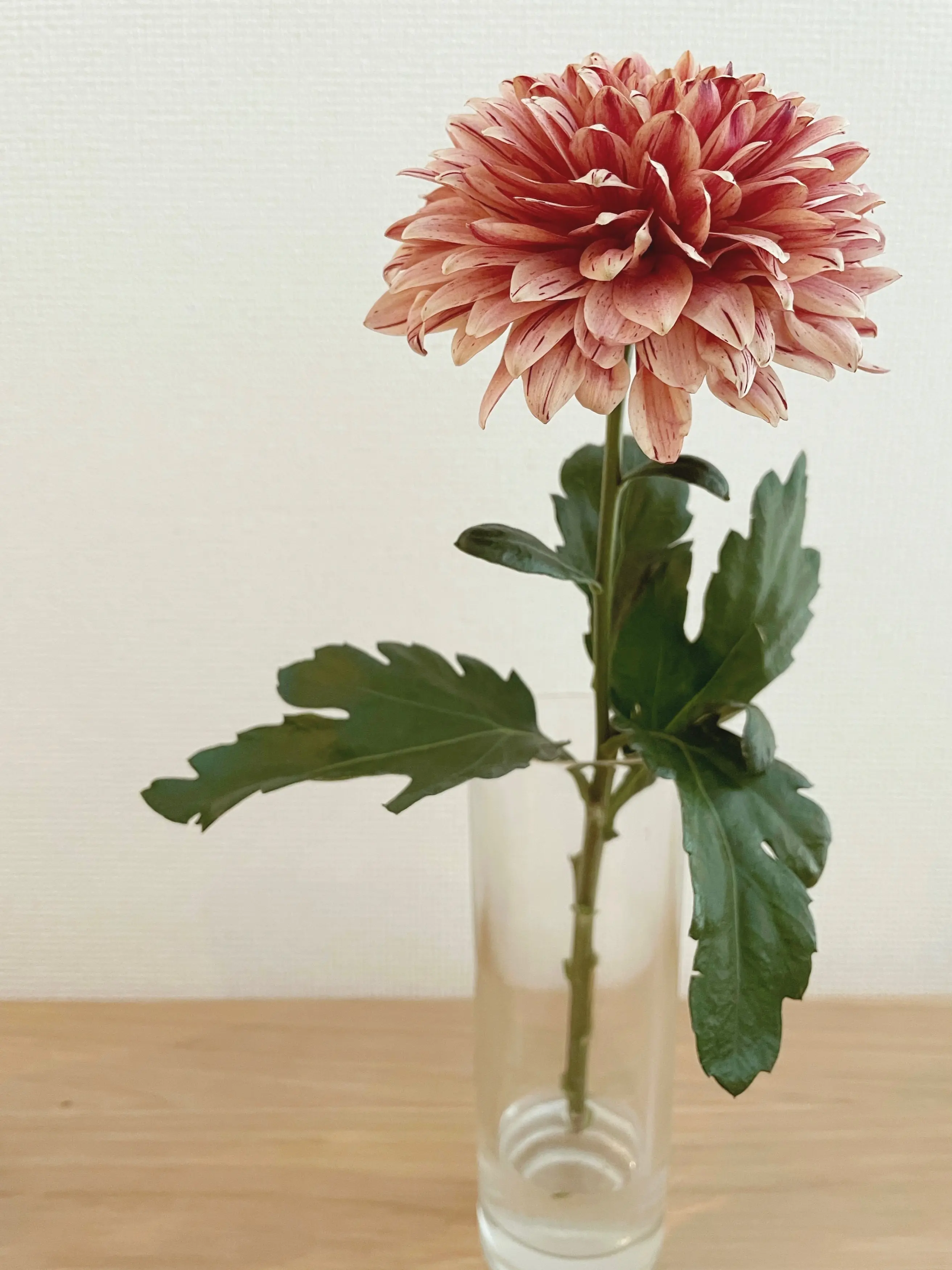 【おうち時間】お部屋に花を取り入れて癒し空間に♡_1