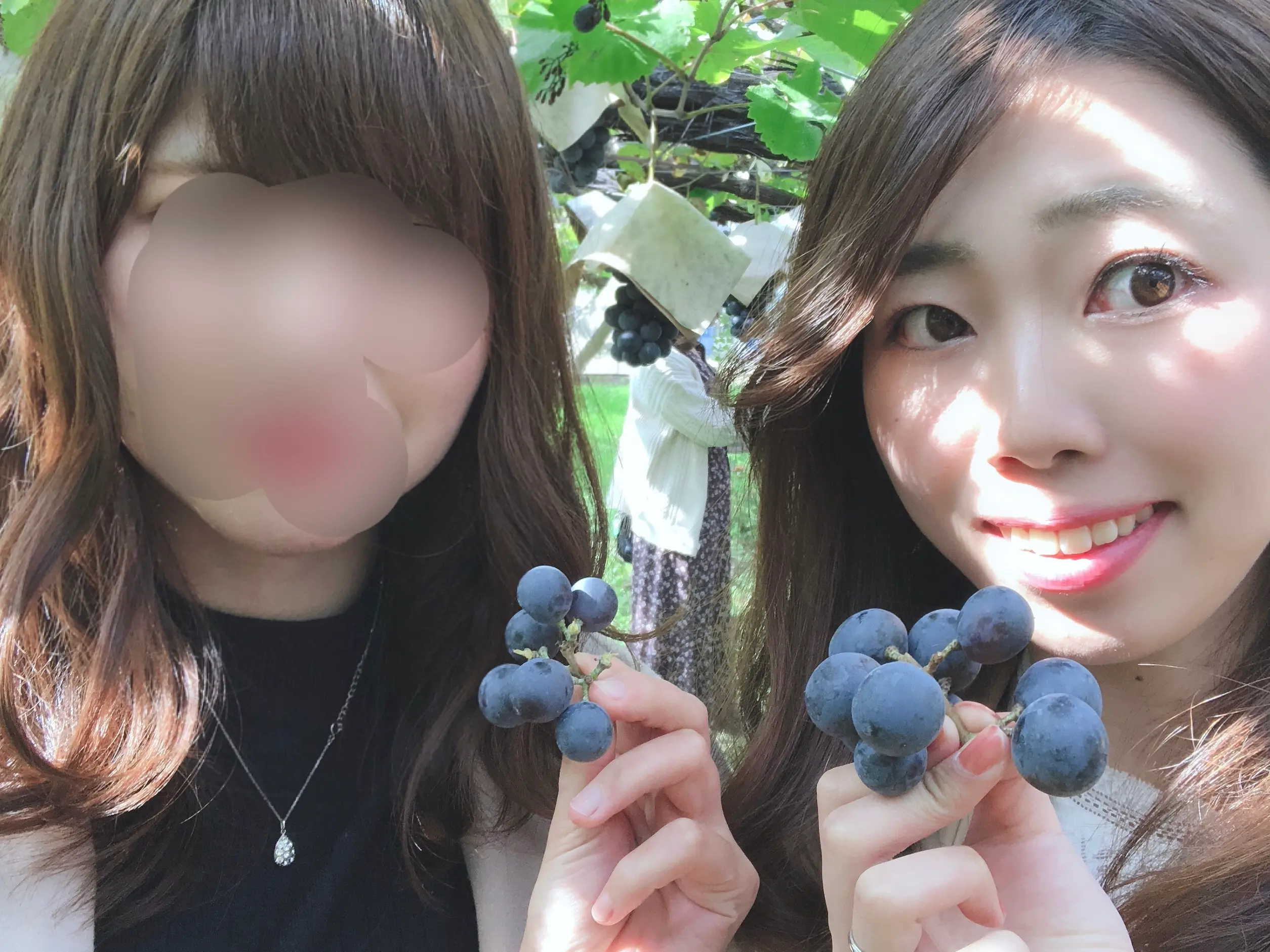 【バスツアー】紅葉の特等席♡清里テラス ぶどう狩り Part ①_7