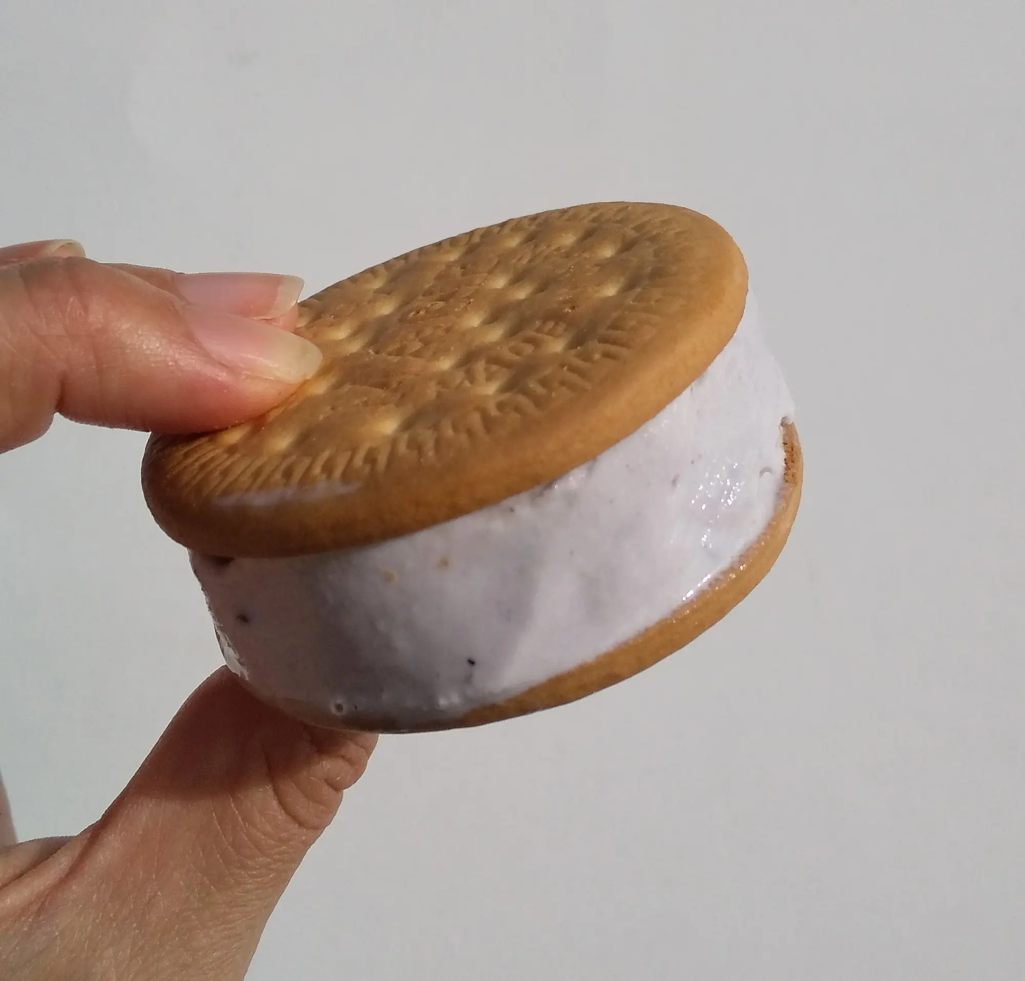 第2段【おうちで簡単にできちゃう】レシピあり!美味しい&かわいいデコアイスを作ってみました!!_3