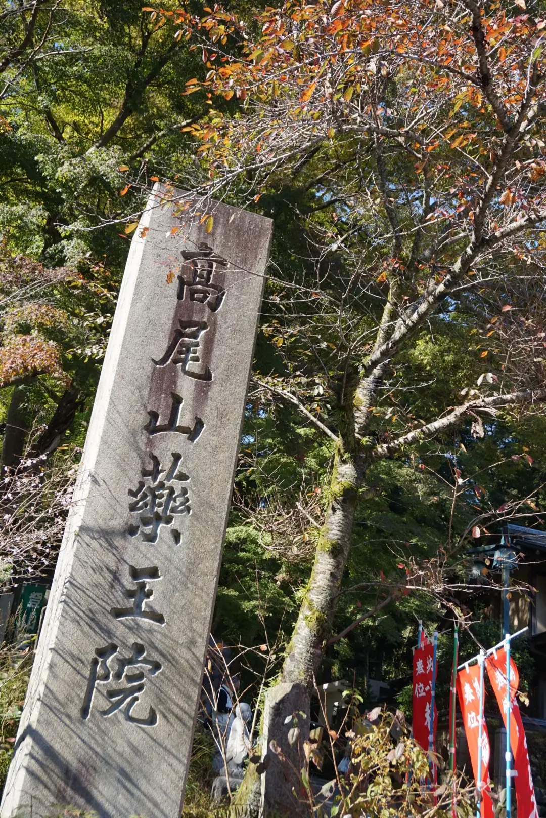 【おでかけ】いよいよ紅葉シーズン♡新宿から1時間以内の紅葉スポットって? _10