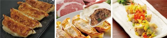 ご当地餃子にブランド牛餃子! 東京・大阪・広島で開催「餃子フェス」の会場別"絶対食べるべき絶品餃子"まとめ_5