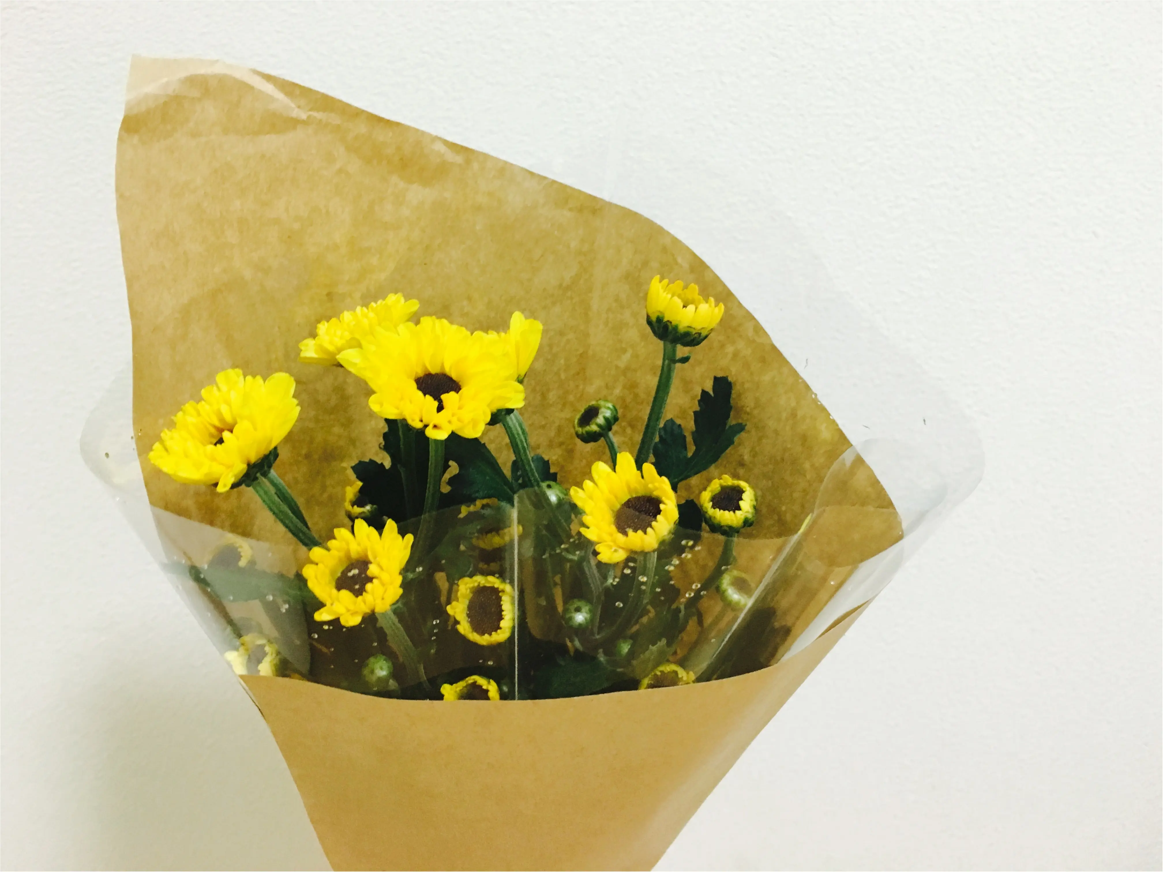 ★癒しを求めて、、sunflower❁ _3