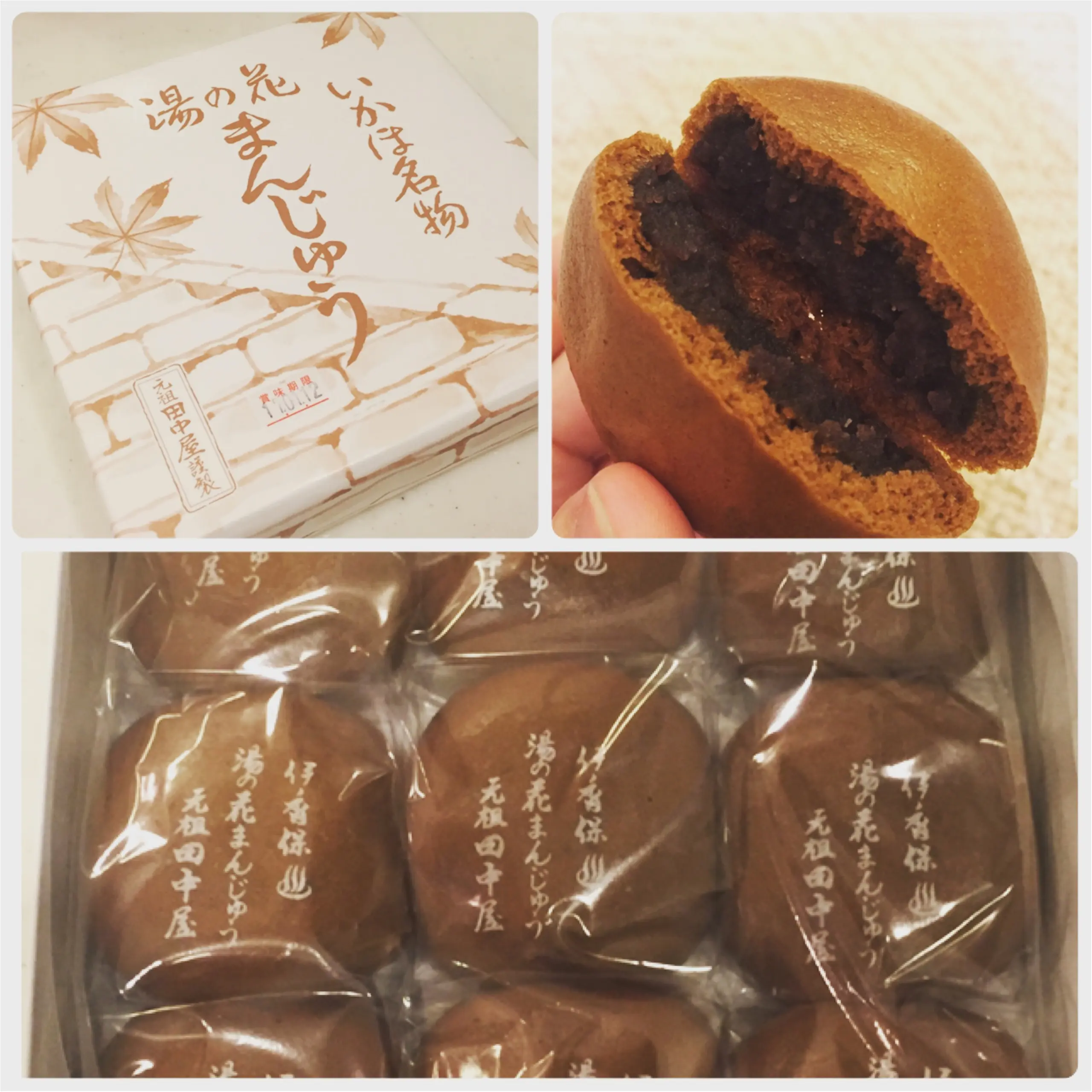 【伊香保温泉旅行】旅館編♡休日は温泉・観光・体験でリフレッシュしよう!オススメ観光スポットご紹介✨by小町娘。_14