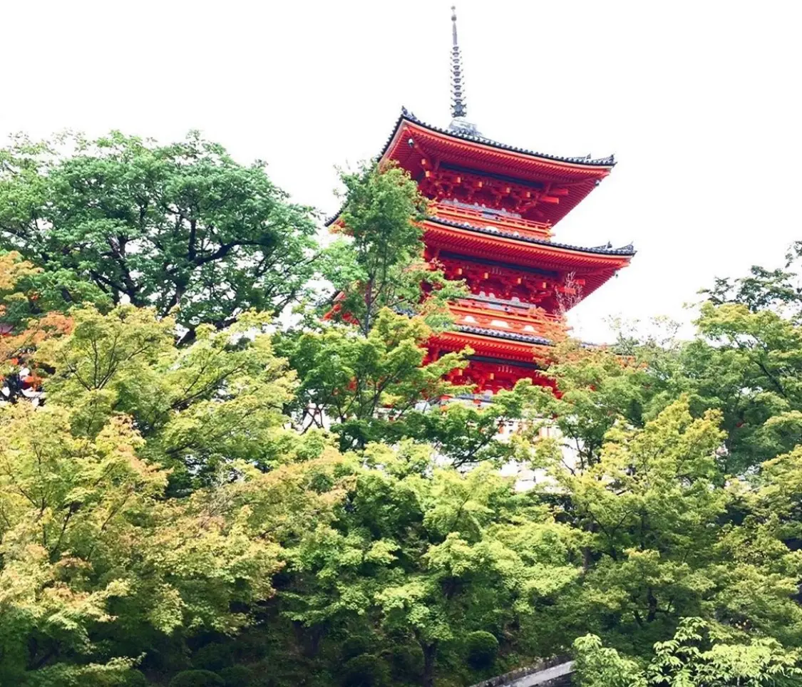 【女子旅におすすめ】京都で憧れの町家一棟貸し!_1
