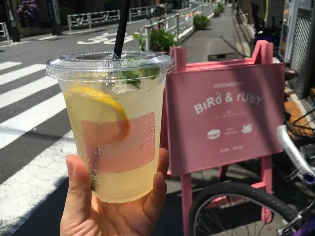 【テイクアウト】夏のお散歩は水分補給必須!《BiRd and rUbY》のレモネード❤️_3