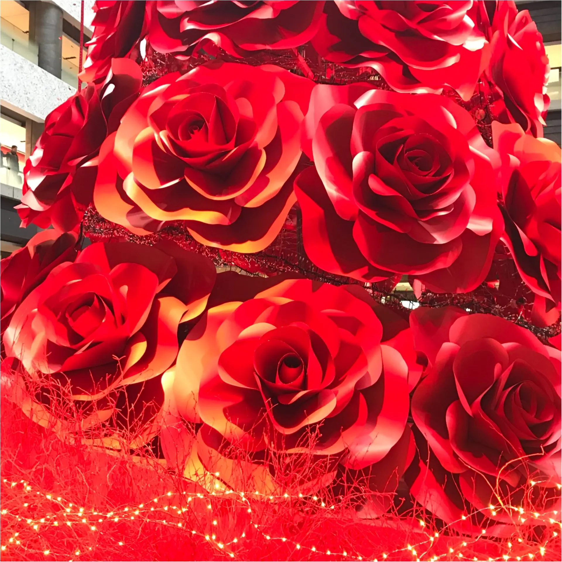 ★これこそLADY♡なクリスマスツリー!梅田に真っ赤なツリーが登場です★_3
