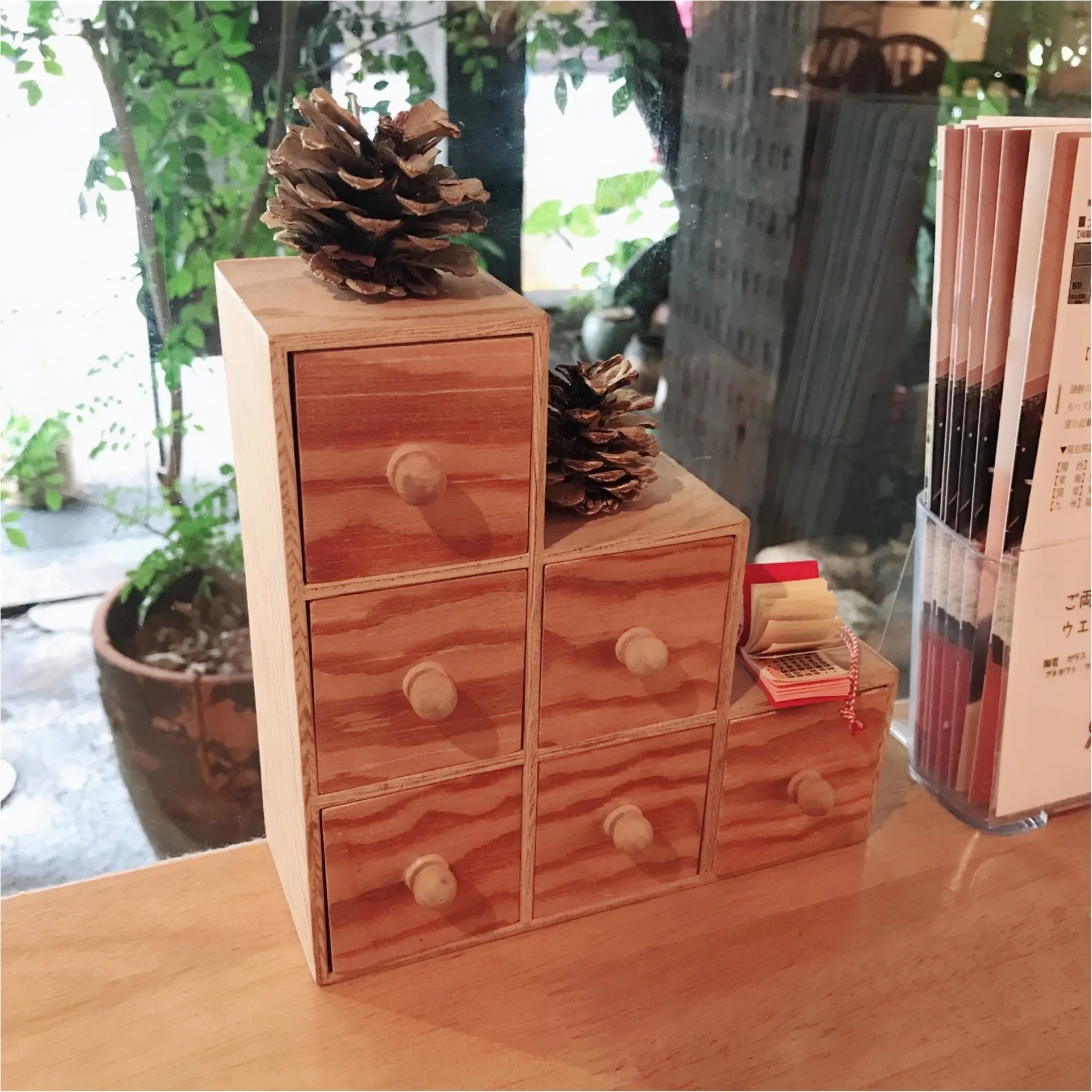 【大阪】緑が生い茂る都会のオアシス♡うつわcafe♡_2
