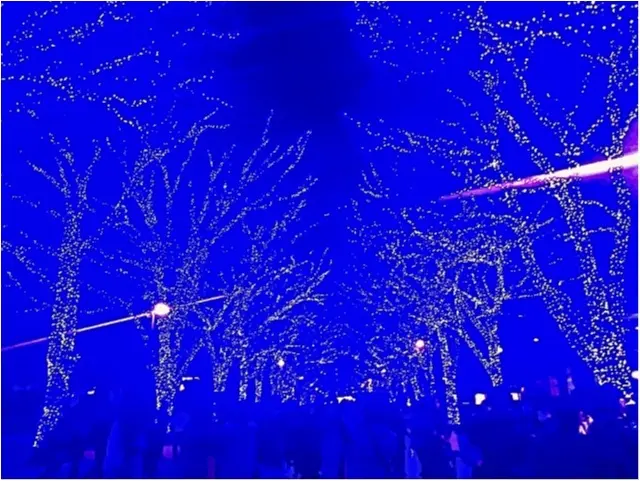 《ご当地☆原宿》12/31まで!!週末デートにオススメ▶︎あの青の洞窟が代々木公園に登場!!幻想的なイルミネーションに胸キュン♡_2