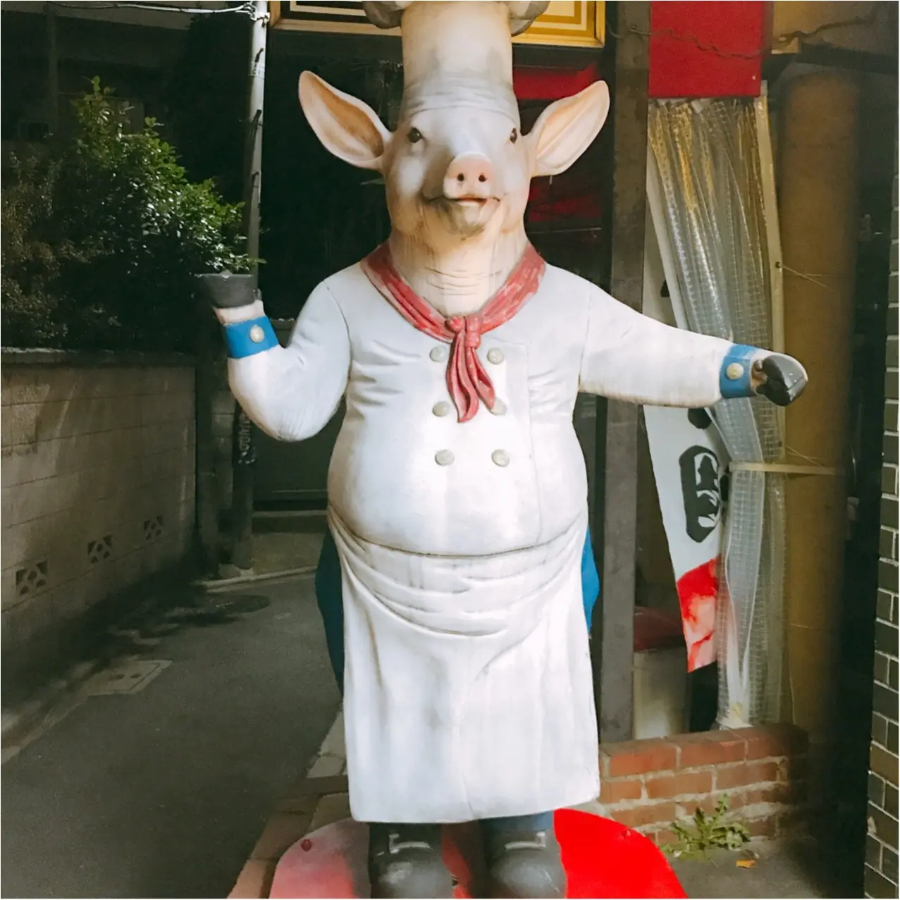 【北千住グルメ】ぶたさんが目印!「とんとん」の本格サムギョプサル♡_2