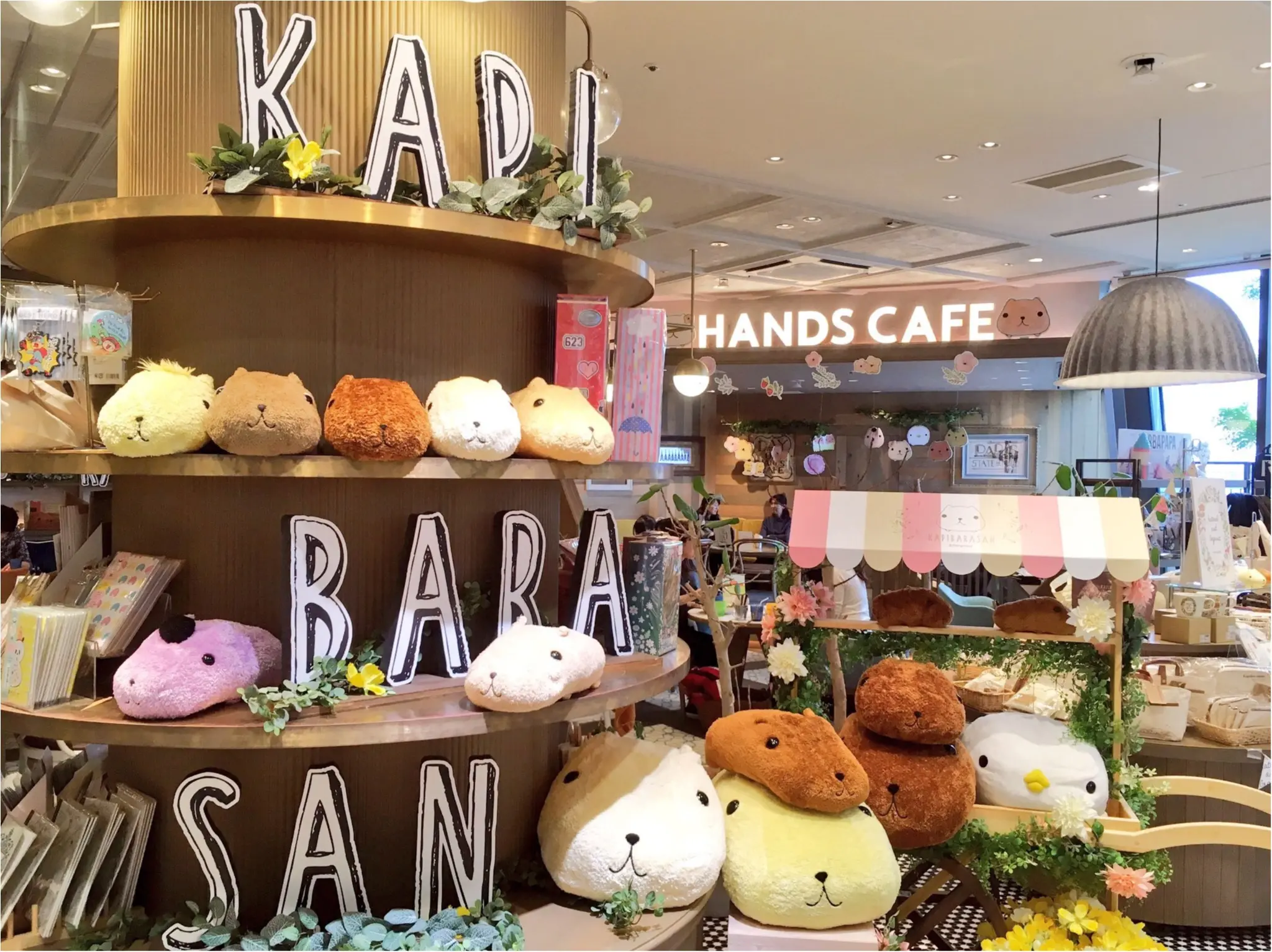 『KAPIBARASAN×HANDS CAFE』@東急表参道原宿店♡りぃイチオシメニューのご紹介(∗•ω•∗)♡_1