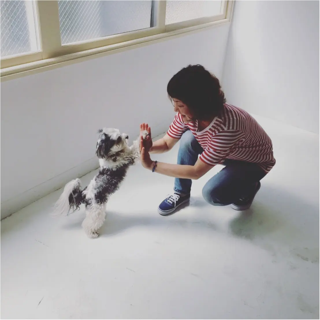 【今日のわんこ】太郎くんとママはお仕事終わりにハイタッチ! _1