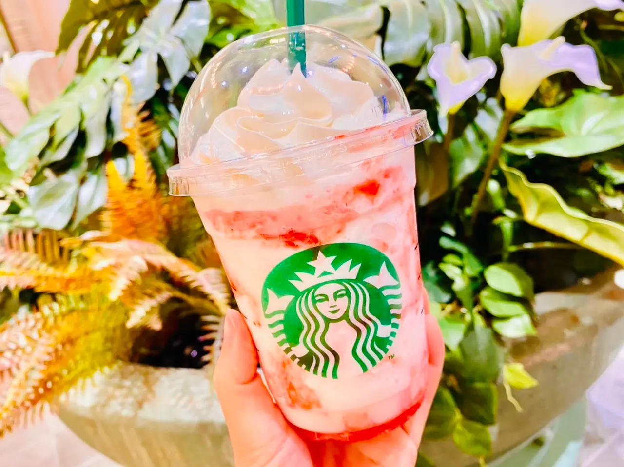 【スタバ新作】今年も待ってた♡初夏のフラペはコレ!《ストロベリー フラペチーノ》新登場★_2